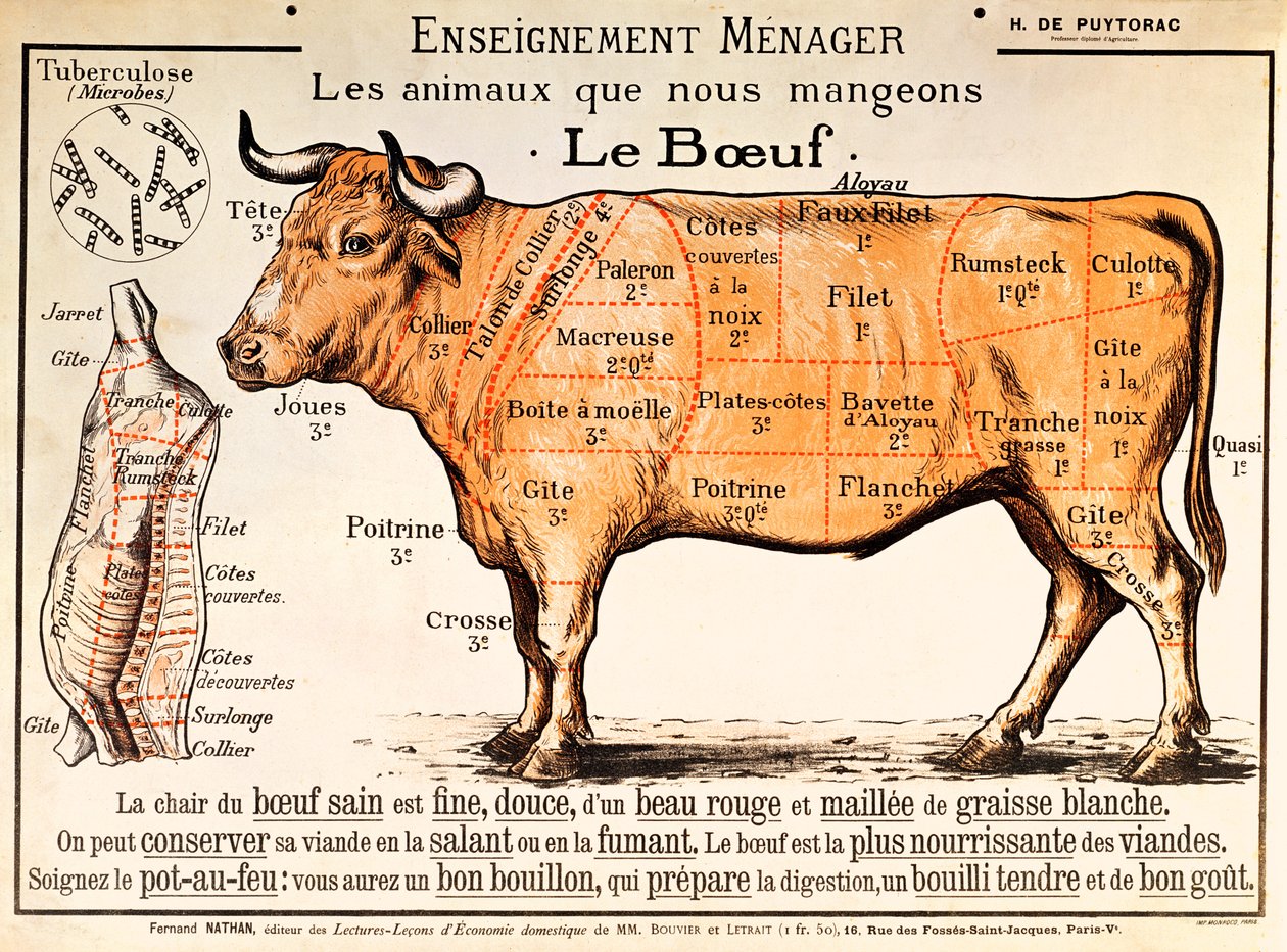 Carne de vaca: diagrama representando os diferentes cortes de carne de French School