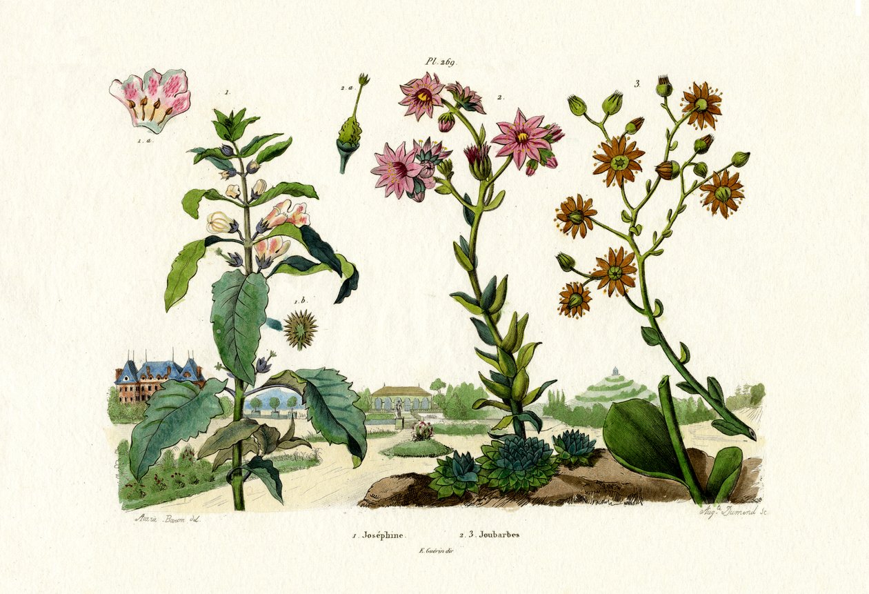 Bloodstones, 1833-39 de French School