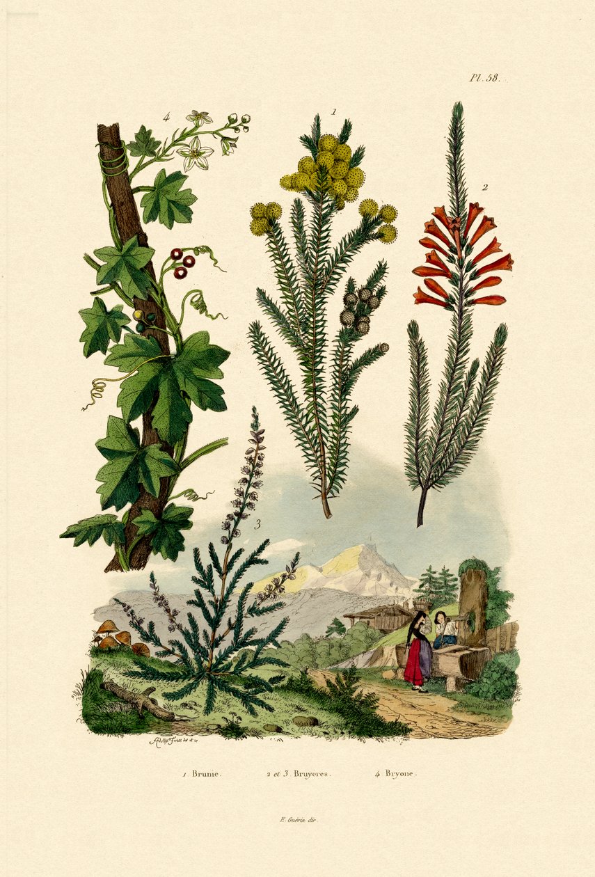 Café Bush, 1833-39 de French School