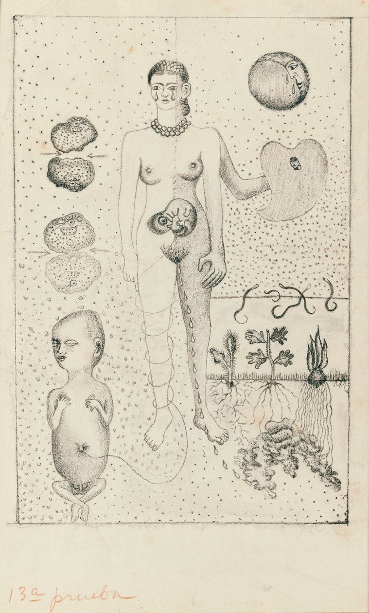 Frida e o aborto de Frida Kahlo