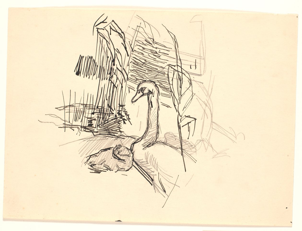 Um cisne com um patinho de Fritz Syberg