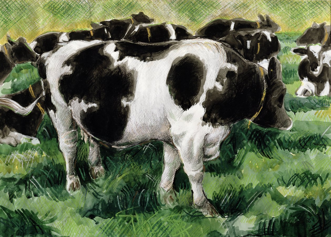 Vacas Friesian (wc) de Gareth Lloyd Ball