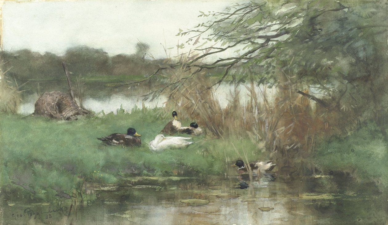 Patos à beira d