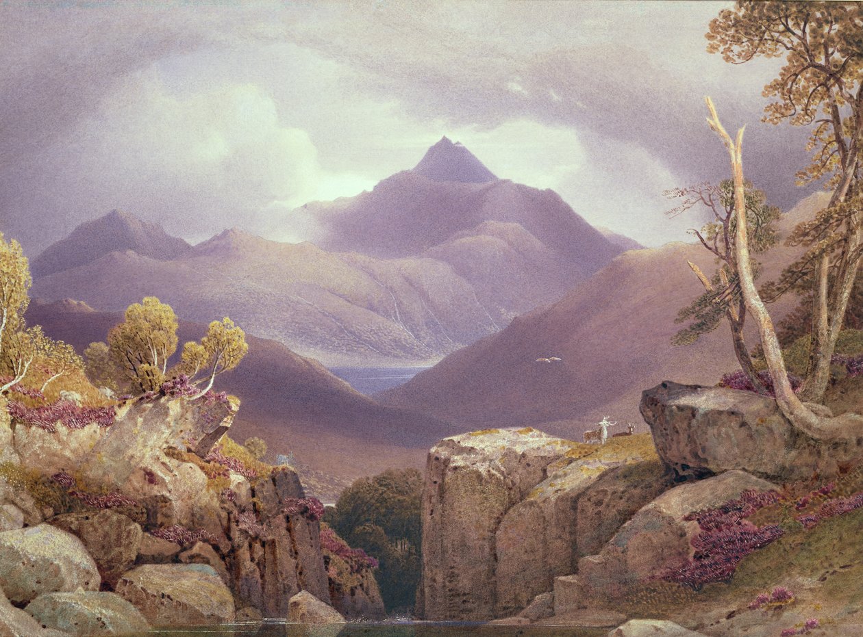 Ben Lomond de George Fennel Robson