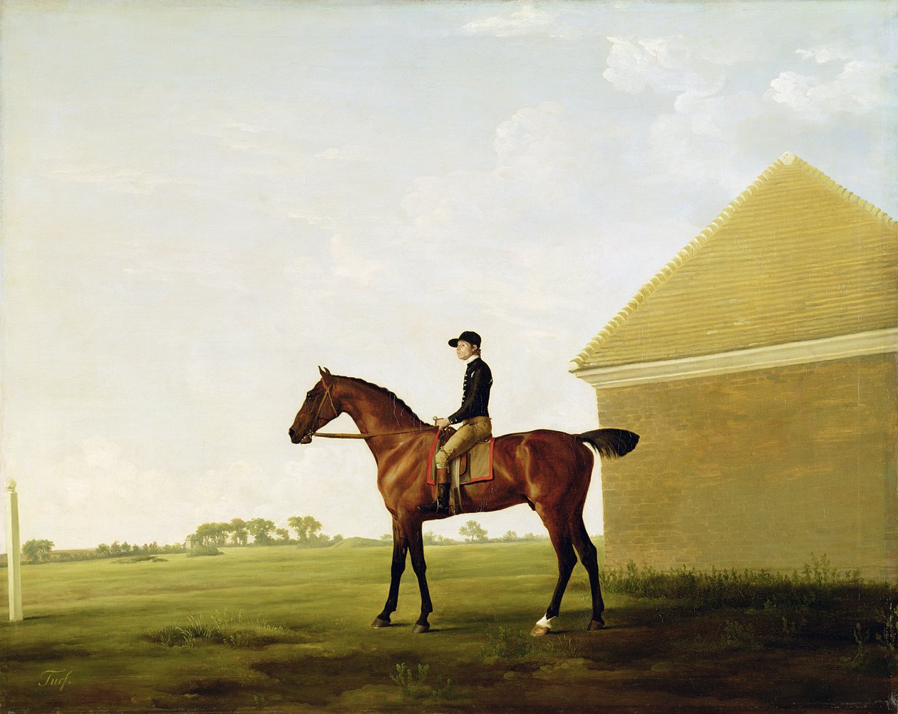 Relva, c.1765 (ver 152743) de George Stubbs