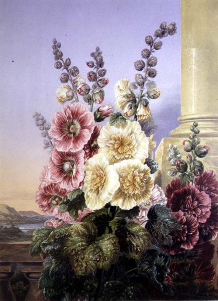 Hollyhocks (cor litho) de George Baxter