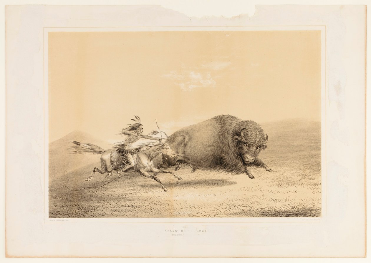 Caça ao búfalo, perseguição - não. 5 de George Catlin