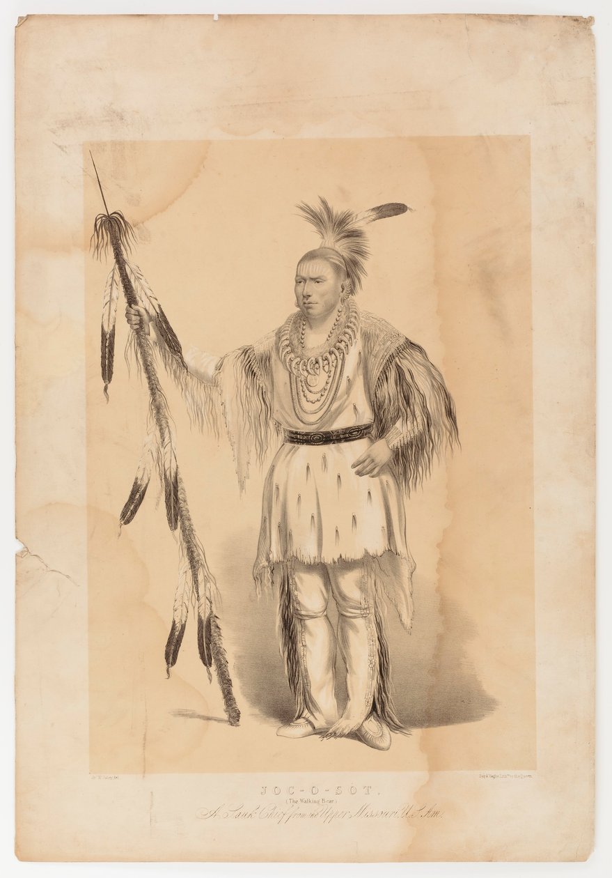 Joc-o-sot, o Urso Andante de George Catlin