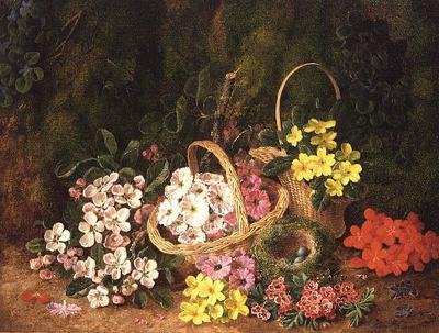 Flores de molas em cestos de George Clare