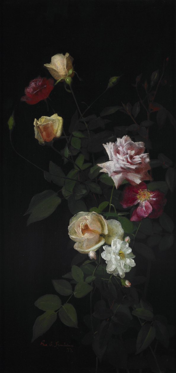 Natureza morta de George Cochran Lambdin