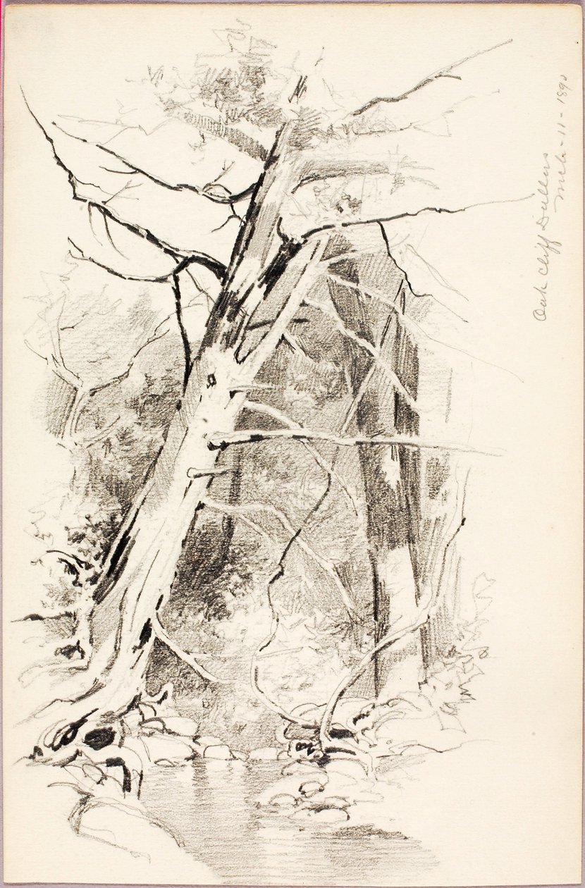 Oak Cliff, Dallas de George Elbert Burr
