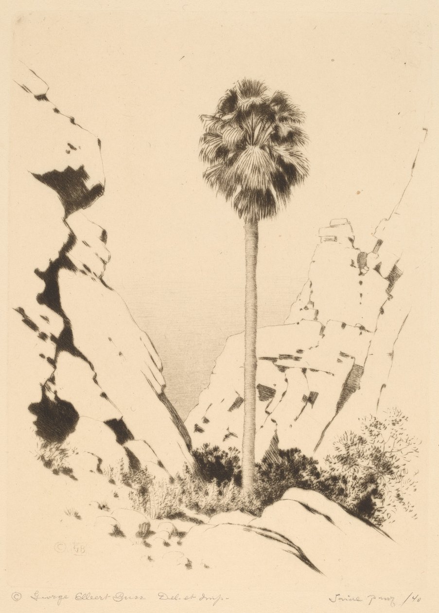 Palm Canyon (nº 1) de George Elbert Burr