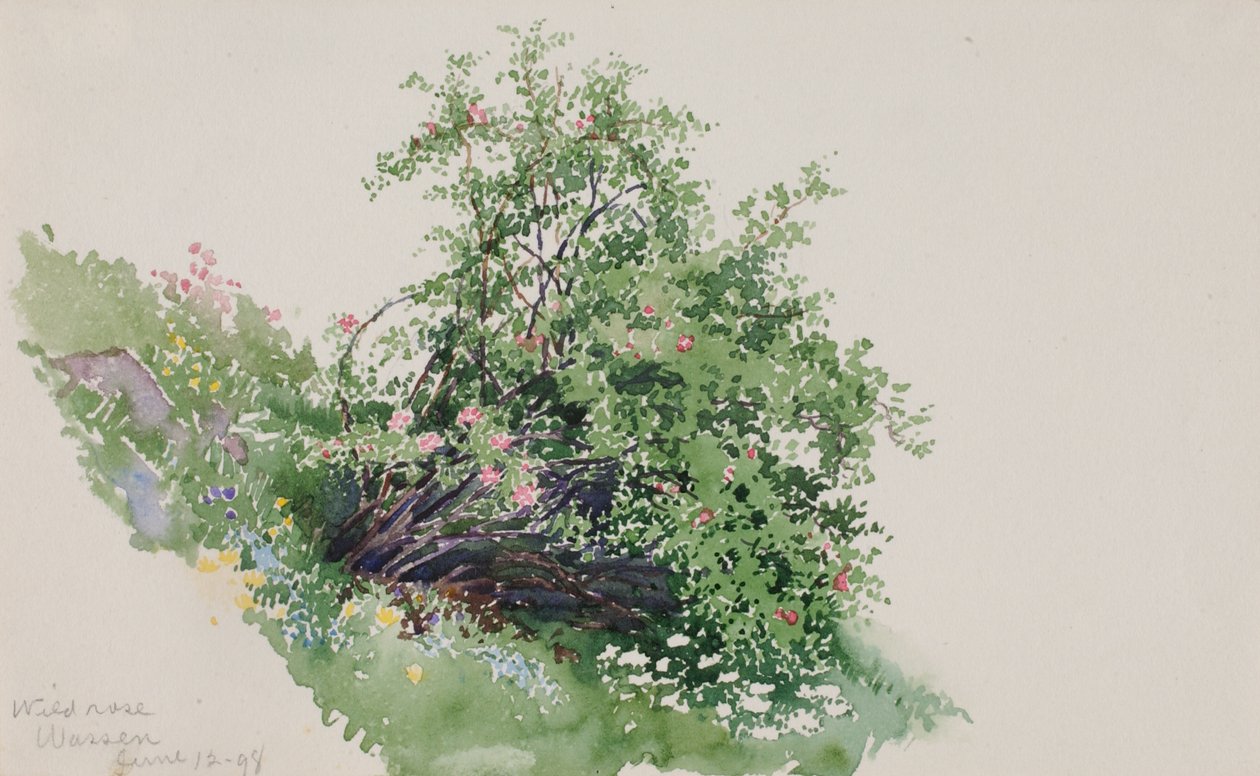 Floresta. de George Elbert Burr