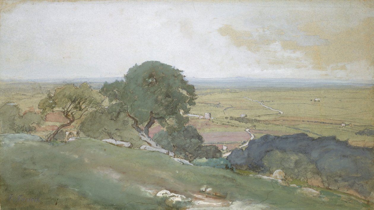 Oliveiras em Tivoli, 1873. de George Inness