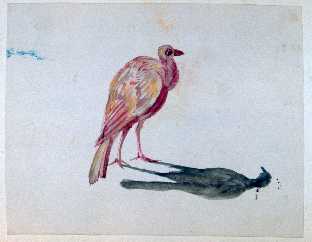 Pássaro, 1820-1876 de George Sand