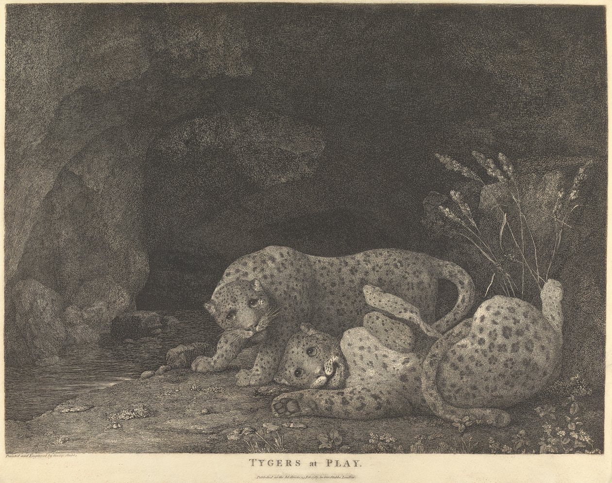 Tygers em jogo de George Stubbs
