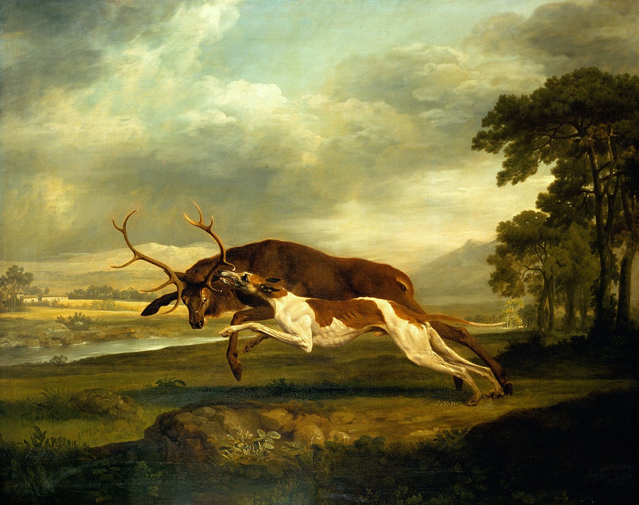 Imagem desconhecida de George Stubbs