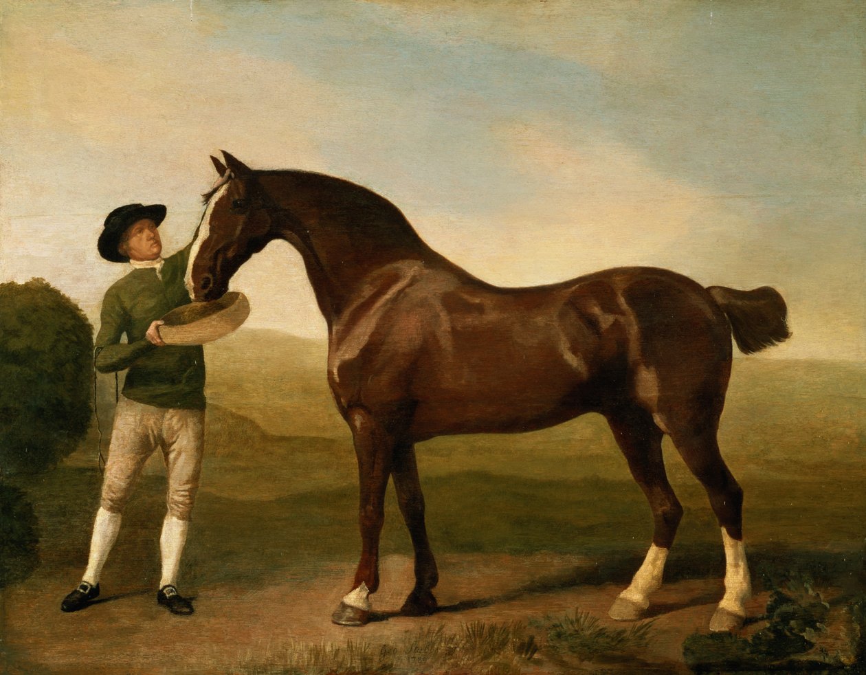 Imagem desconhecida de George Stubbs