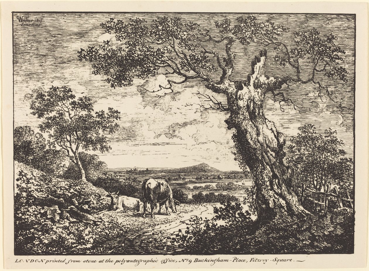 Paisagem com duas vacas de George Walker