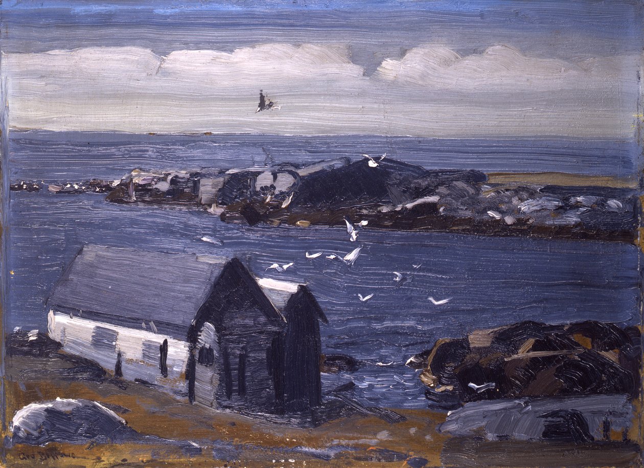 As gaivotas, Monhegan, c.1913 de George Wesley Bellows