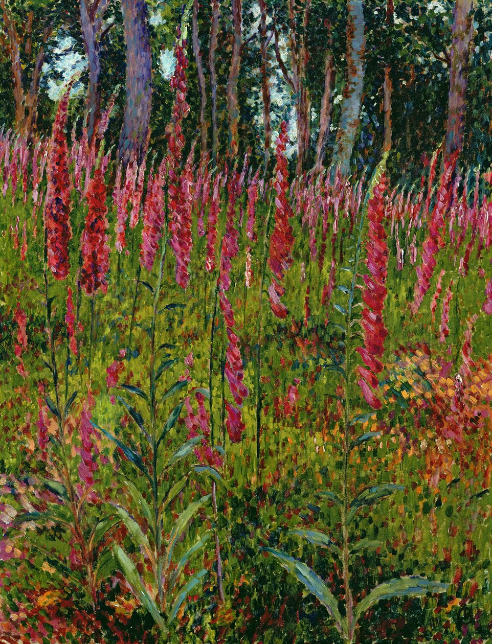 Foxgloves, c.1916 de Georges Lacombe