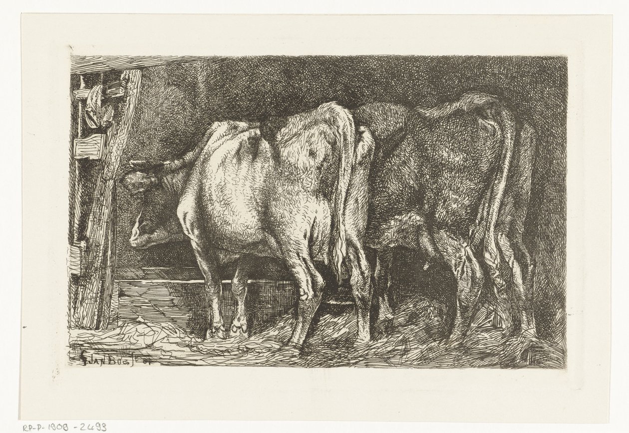 Duas vacas num comedouro de Gerard Jan Bos