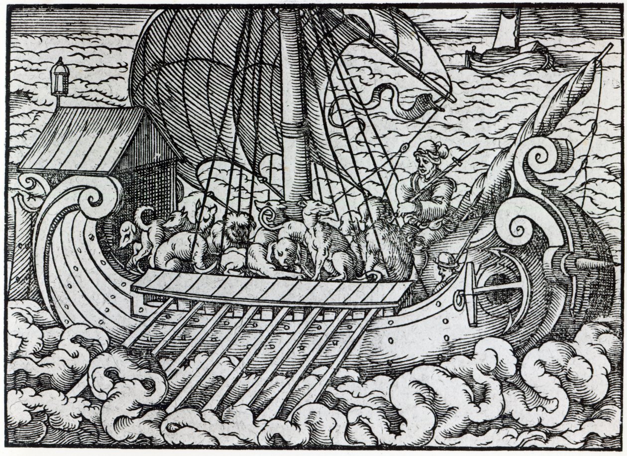 Navio Viking de German School
