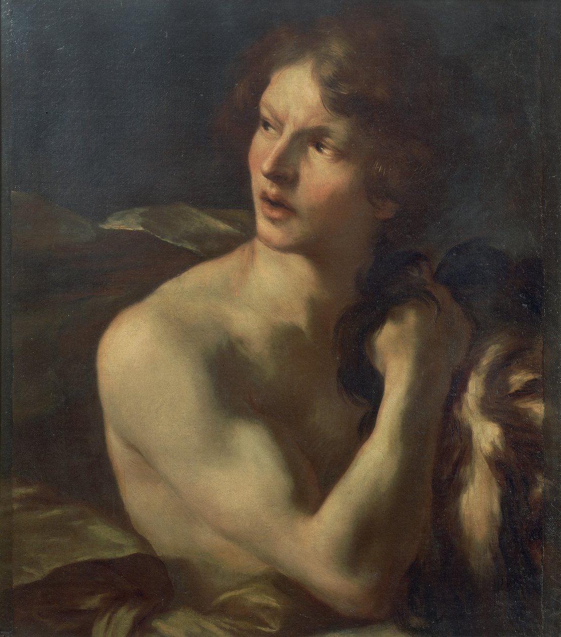 David de Gian Lorenzo Bernini