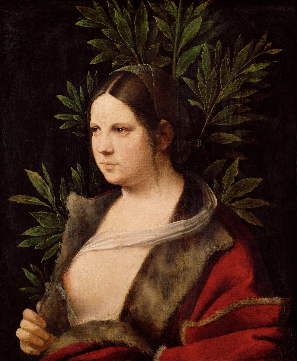 Mulher jovem ("Laura") de Giorgione