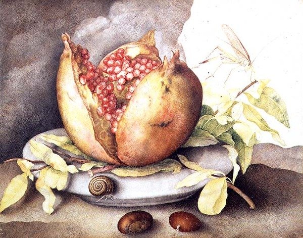 Romã com Castanhas de Giovanna Garzoni