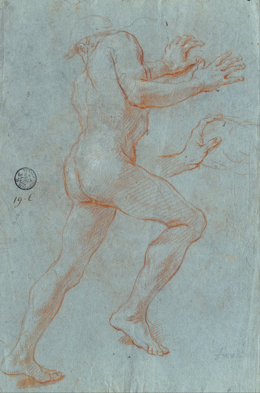 Estudo de um nu masculino de Giovanni Antonio Grecolini