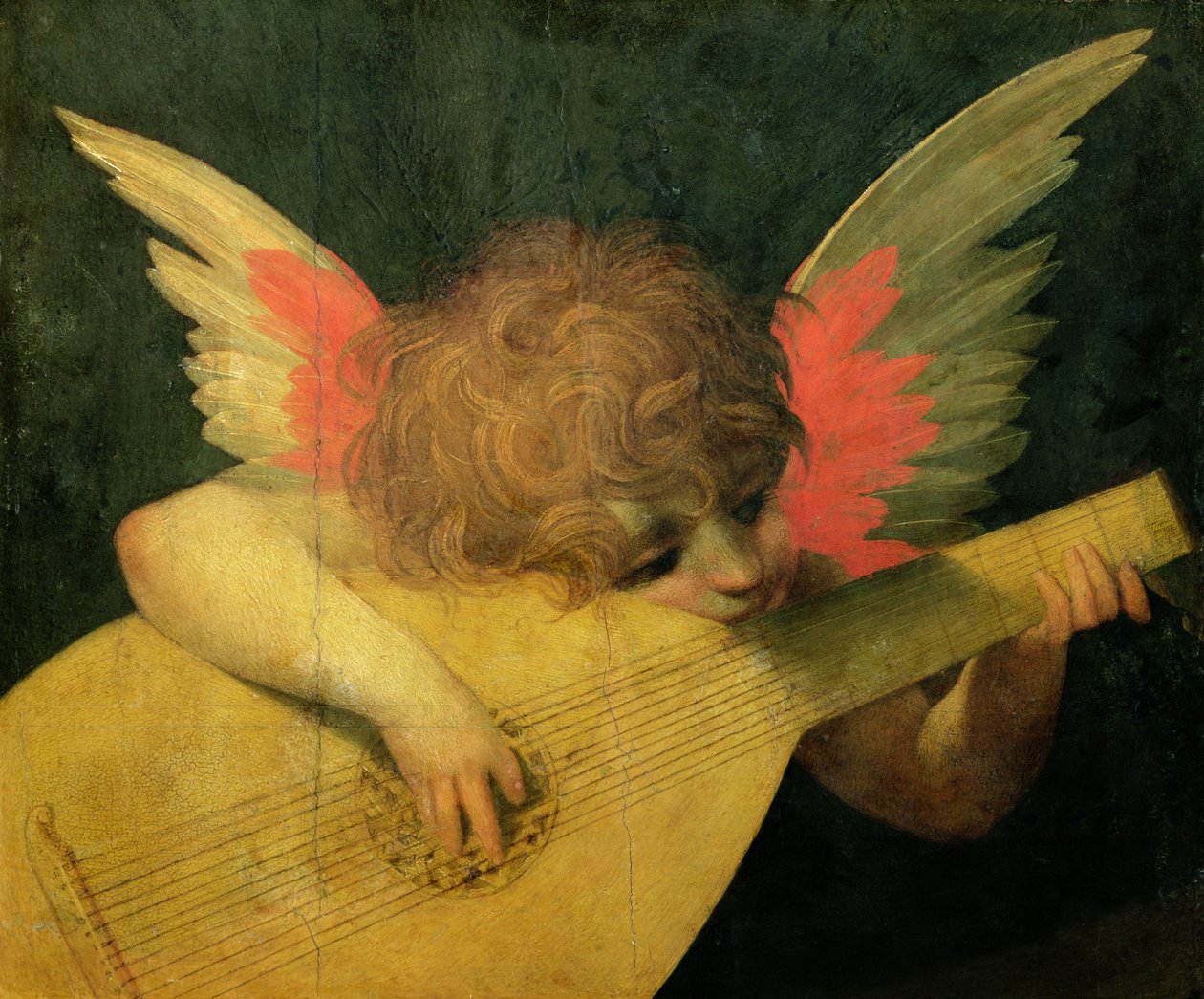 Angel Musician, c.1520 (têmpera no painel) de Giovanni Battista Rosso Fiorentino