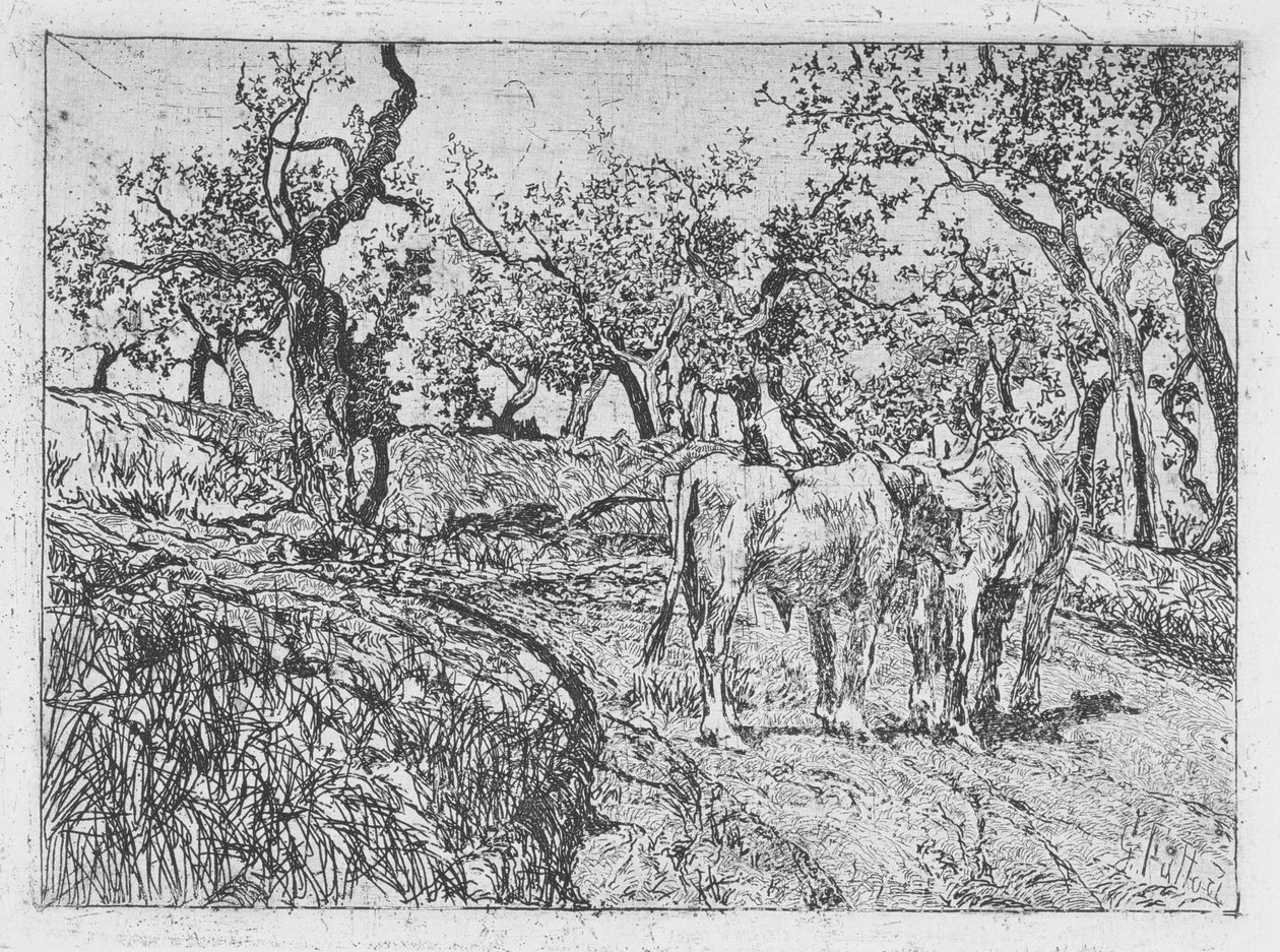 Gado entre oliveiras de Giovanni Fattori