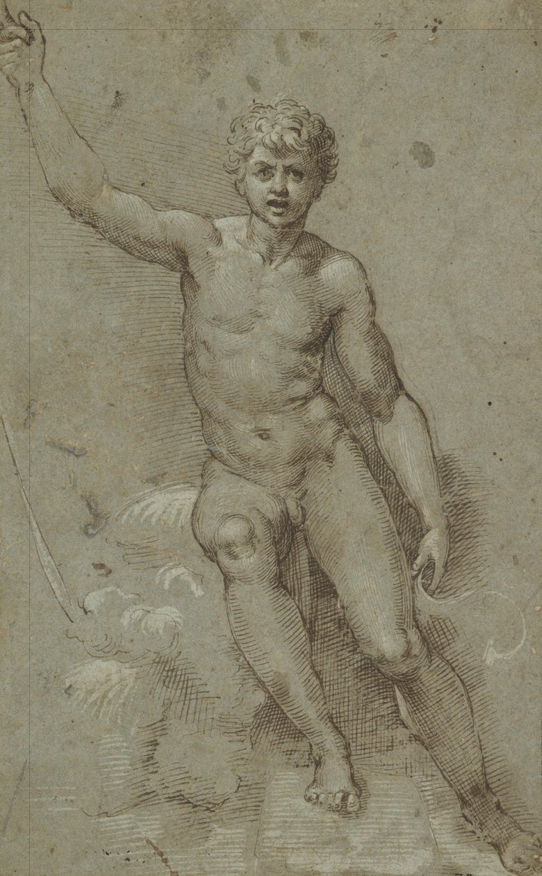 São João no Deserto de Giovanni Francesco Penni