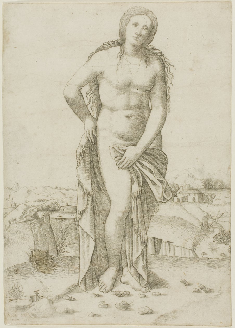 Vênus de Giovanni Antonio da Brescia