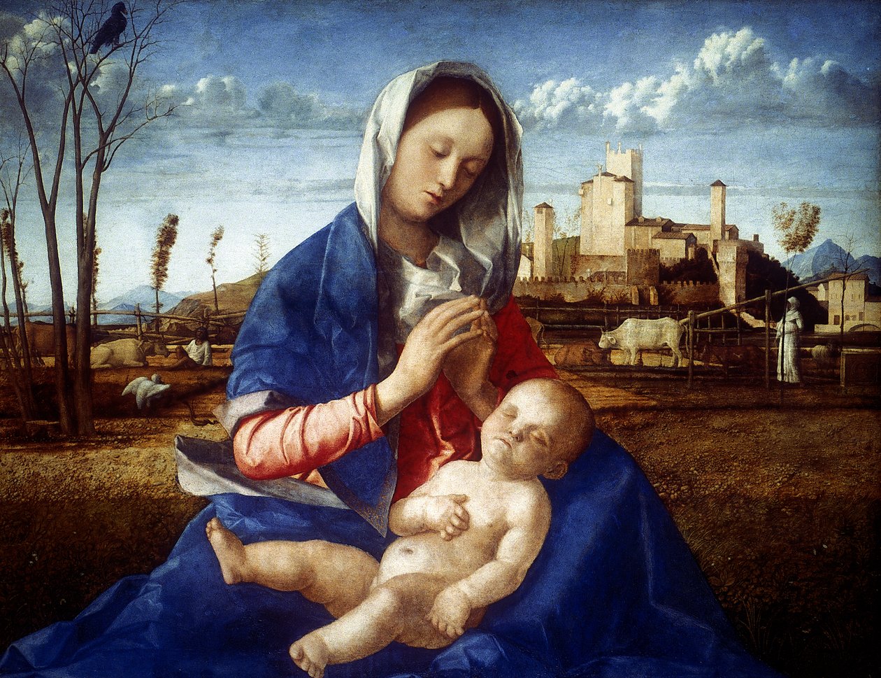 A Madona do Prado, c1500 de Giovanni Bellini