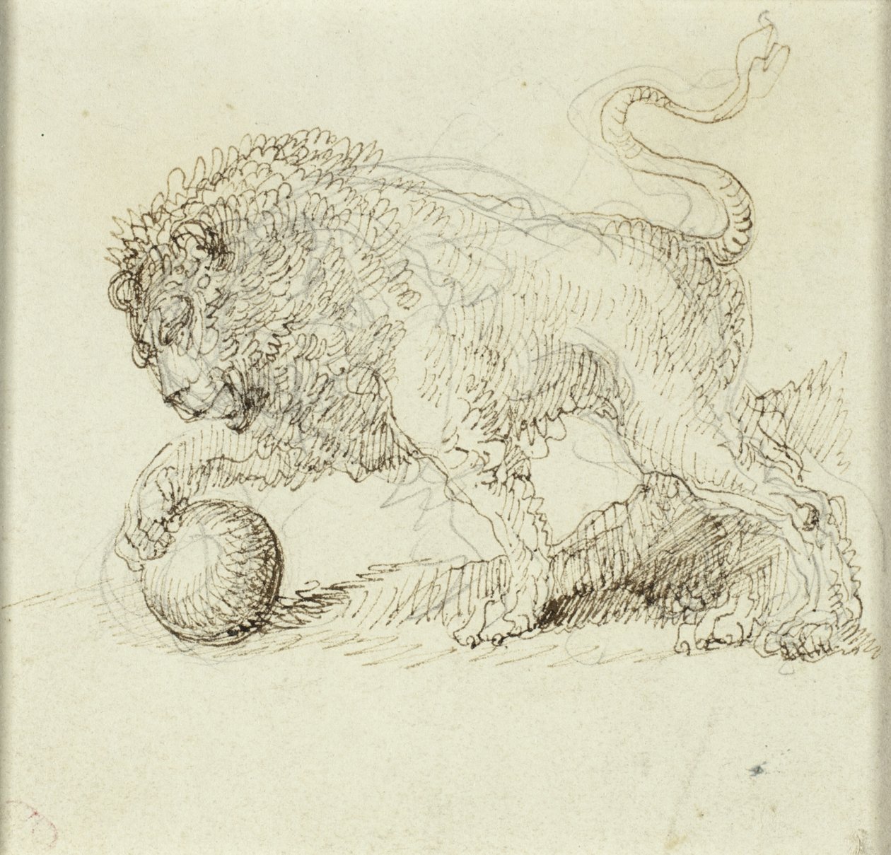Leão com bola de Giuseppe Bernardino Bison
