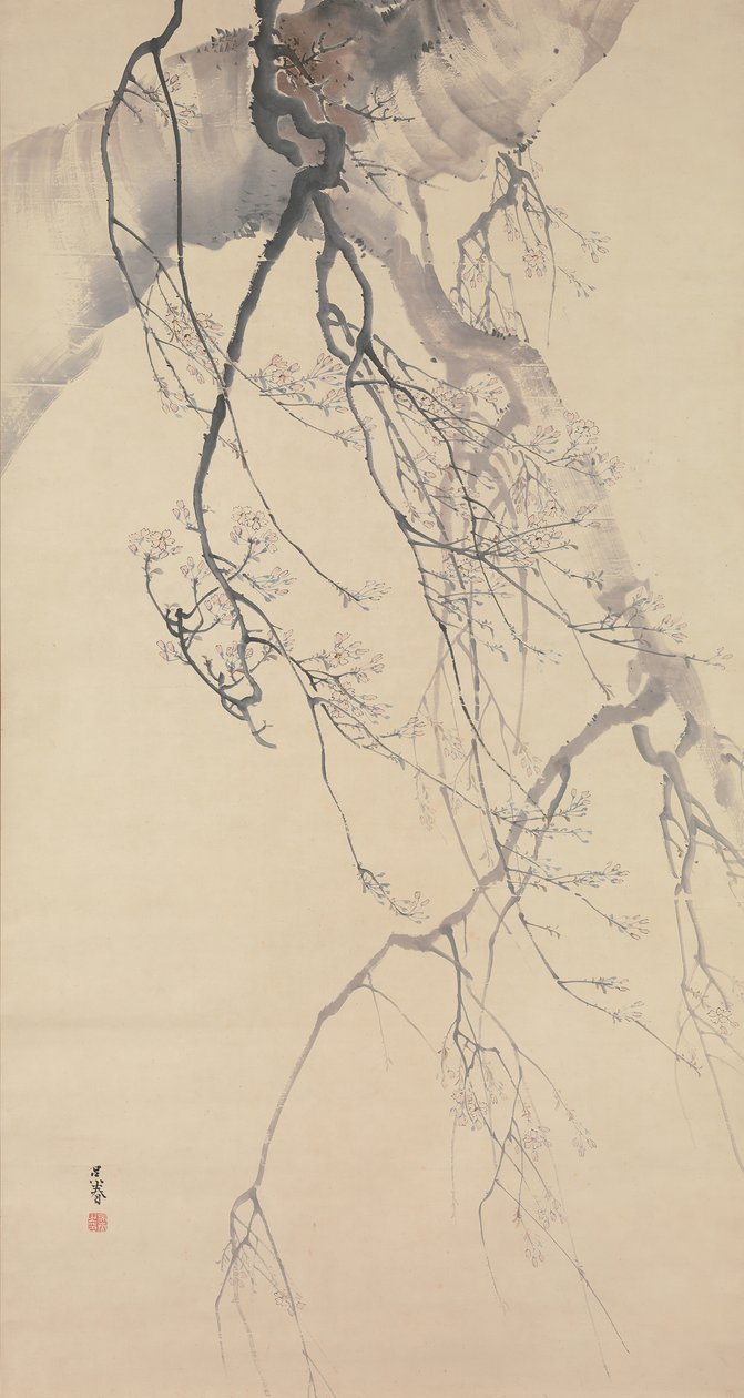 Cerejeiras em flor, século XVIII. de Go Shun