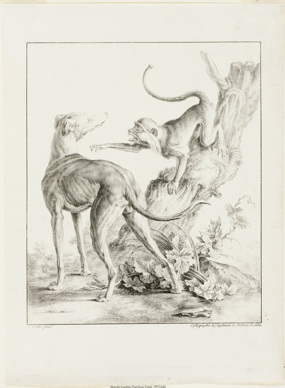 cachorro e macaco de Gottfried Engelmann