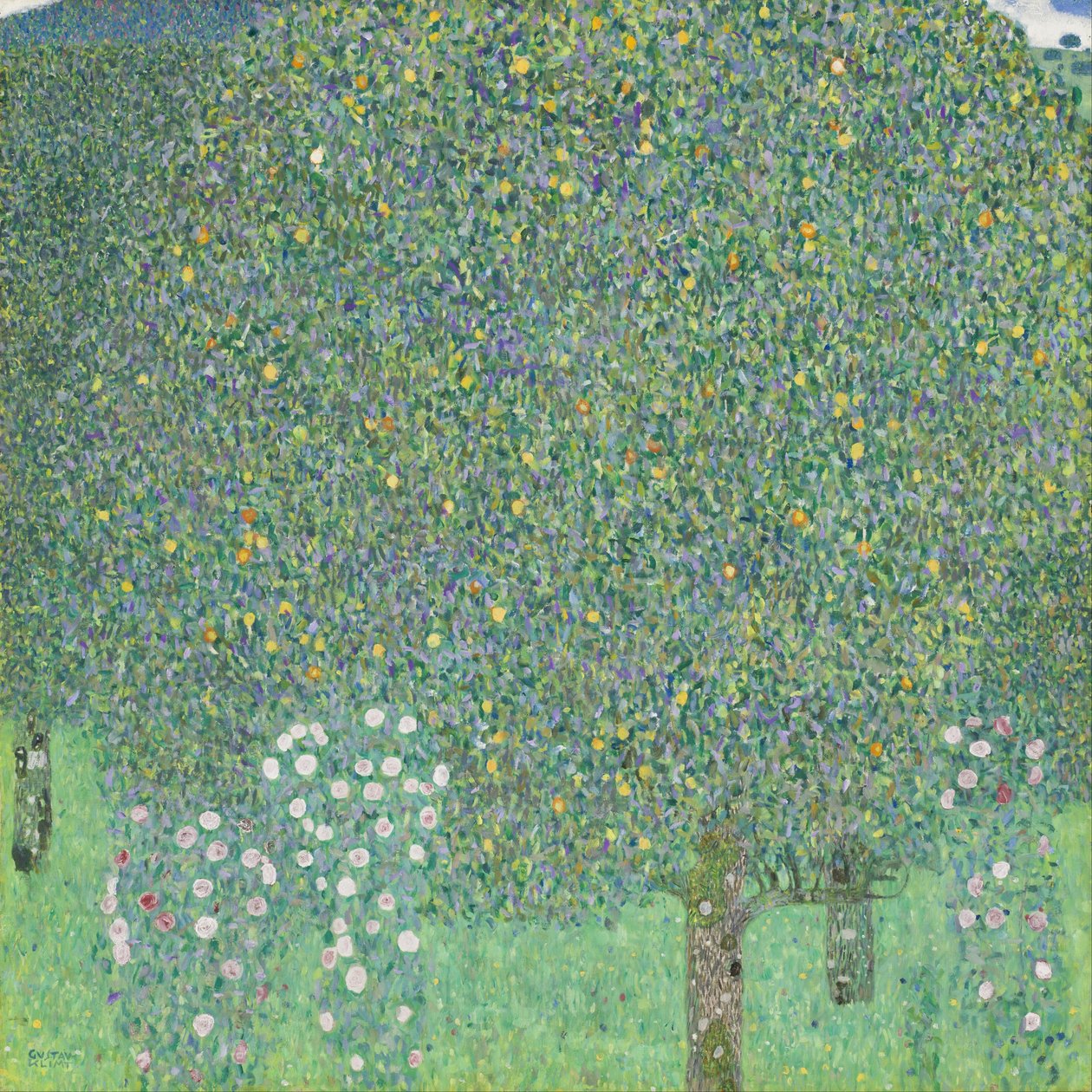 Dança, mulher, com, capa de Gustav Klimt