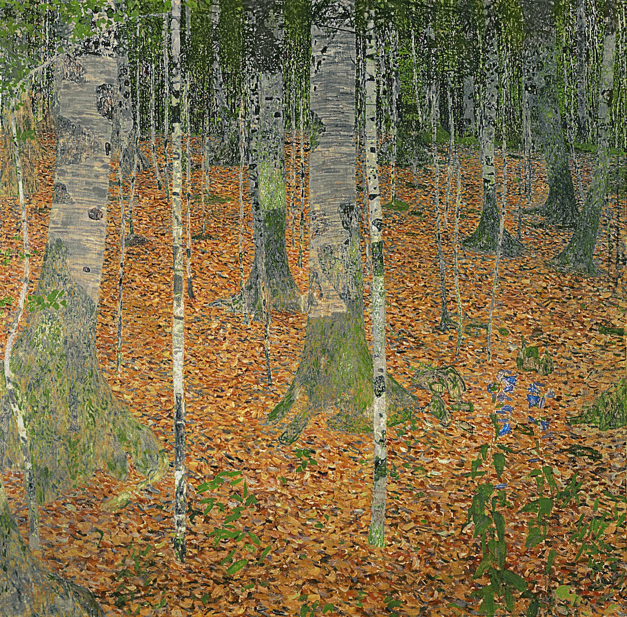 A madeira de bétula, 1903 de Gustav Klimt