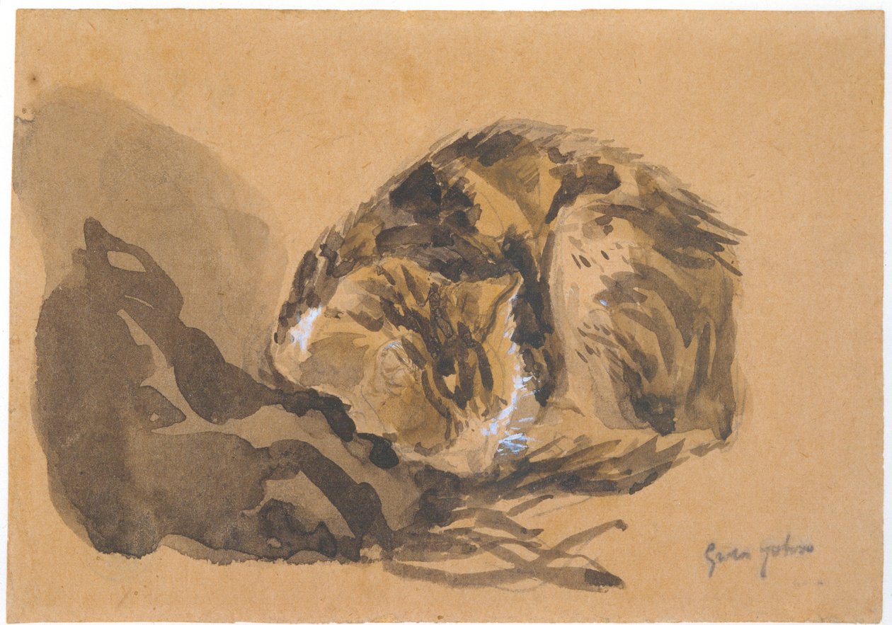 Estudo de um gato, 1905-08 de Gwen John