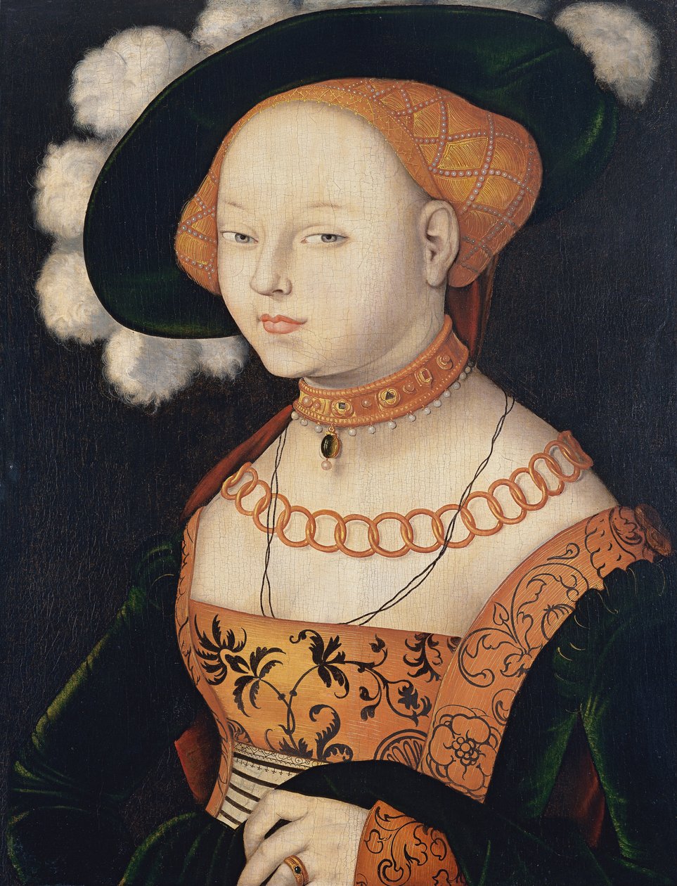 Retrato de uma senhora de Hans Baldung Grien