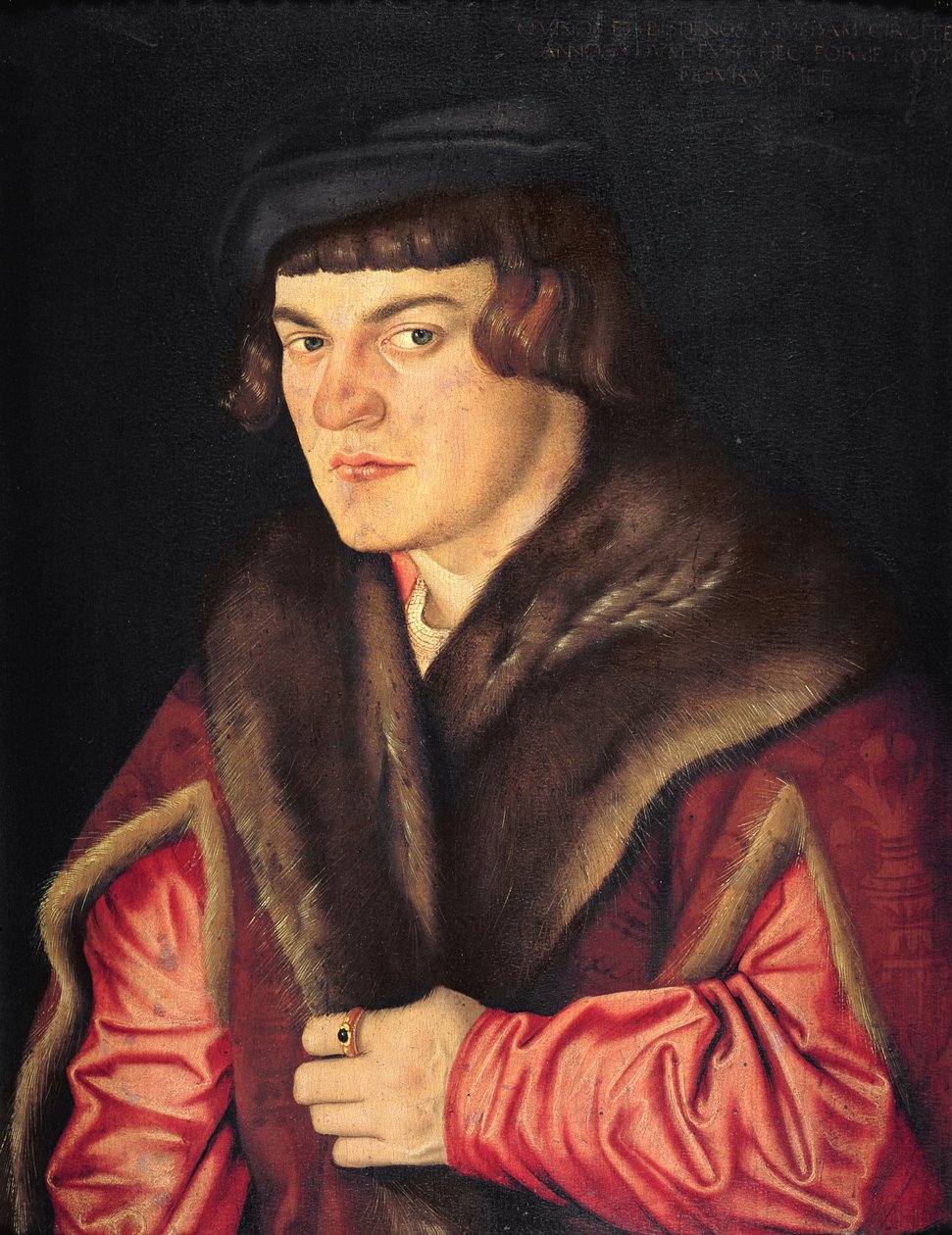Retrato de um homem de Hans Baldung Grien