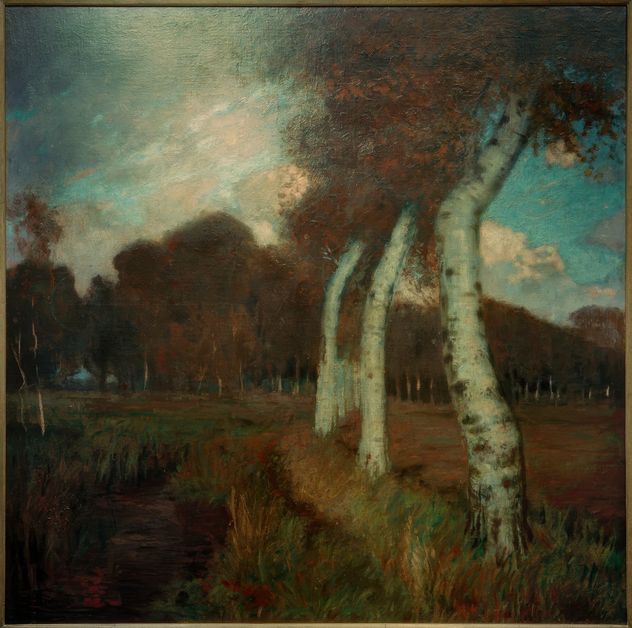 Bétulas no outono de Hans am Ende