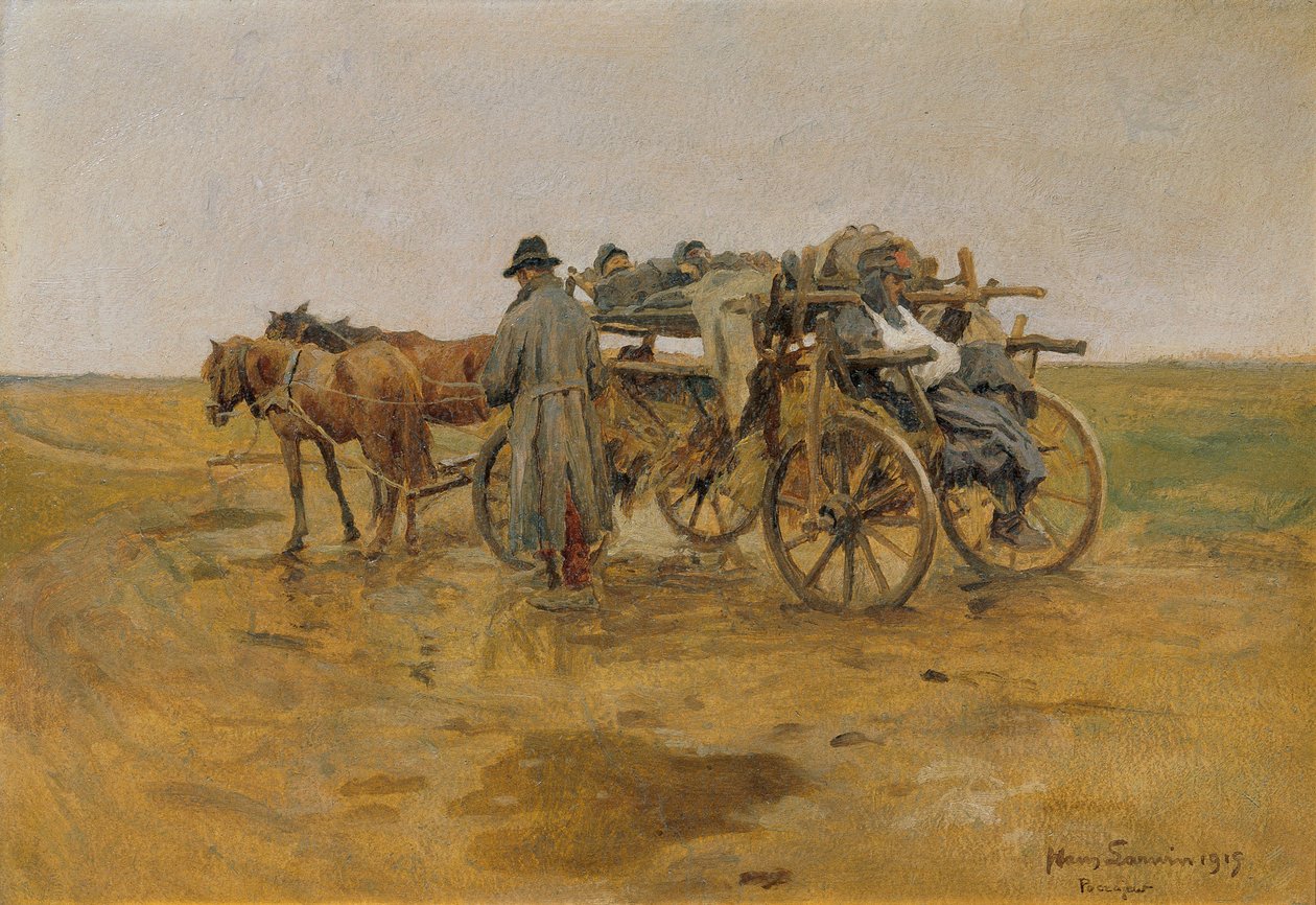 Transporte de feridas de Hans Larwin