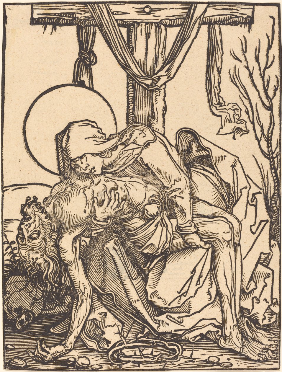 Compaixão de Hans Weiditz, II