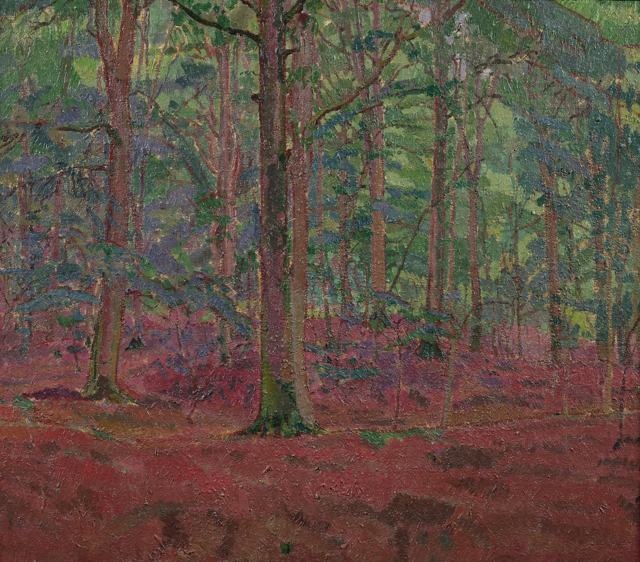 Uma madeira de faia de Harold Gilman