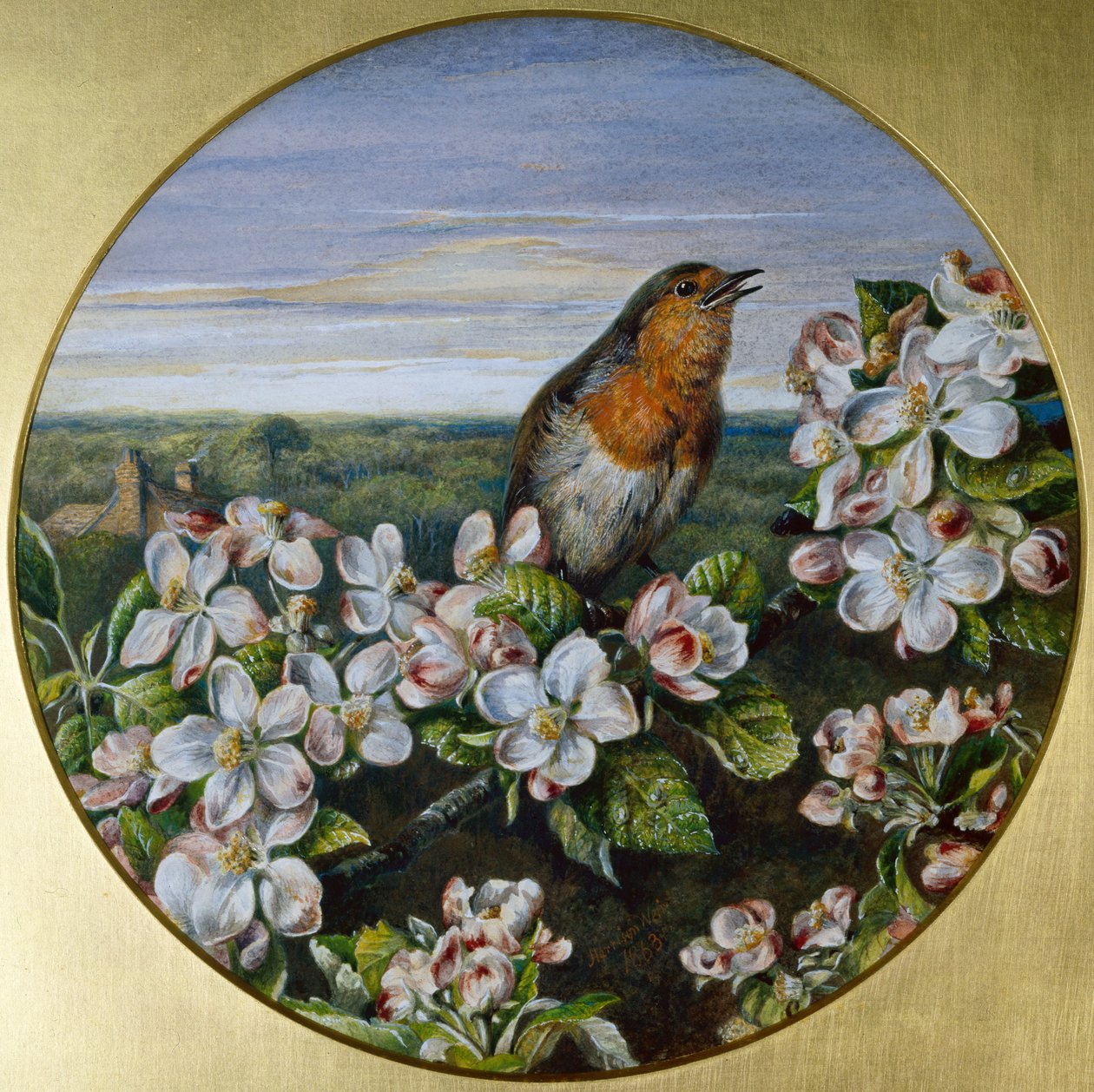 Um Robin entre as Flores de Harrison William Weir
