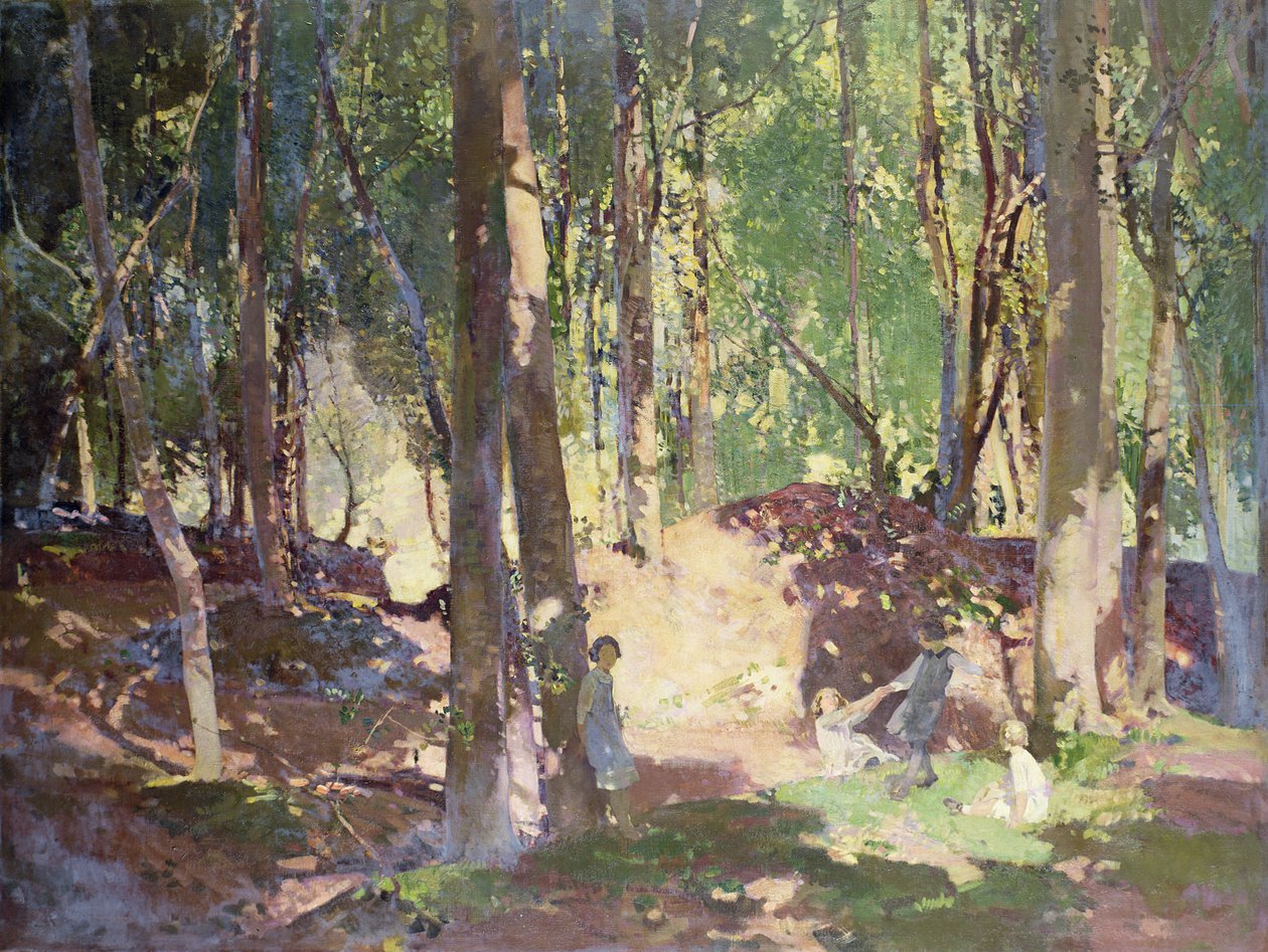 Manhã na floresta de Harry Watson
